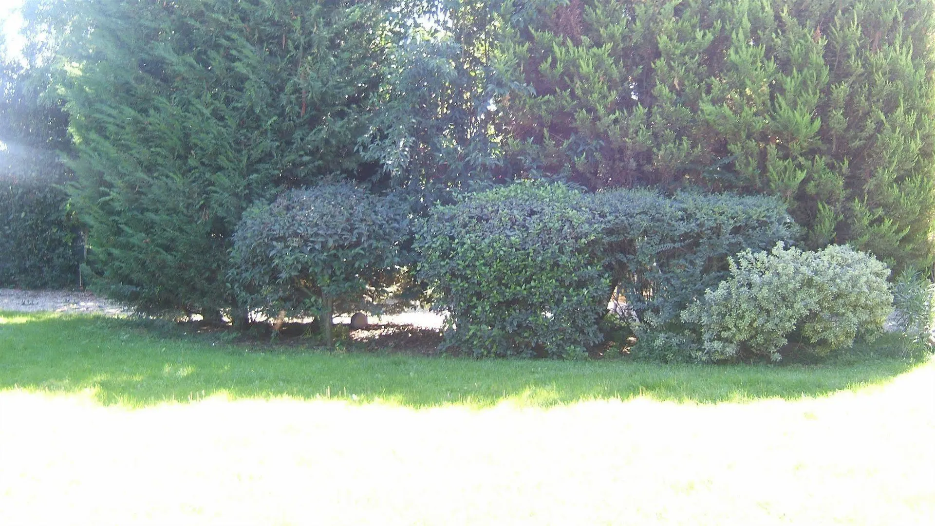 Hotel Locanda Canareggio San Biagio di Callalta